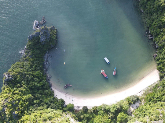 Cai Beo Floating Village