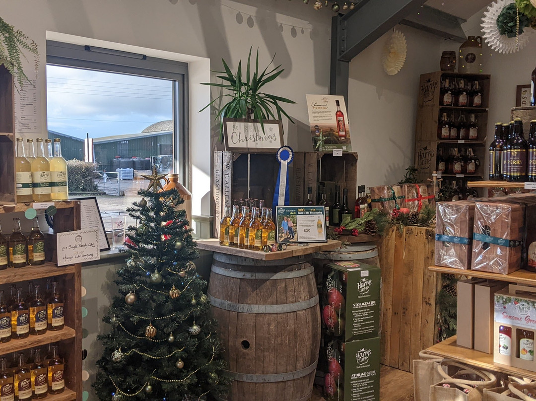 Harrys Cider-Langport必去景点