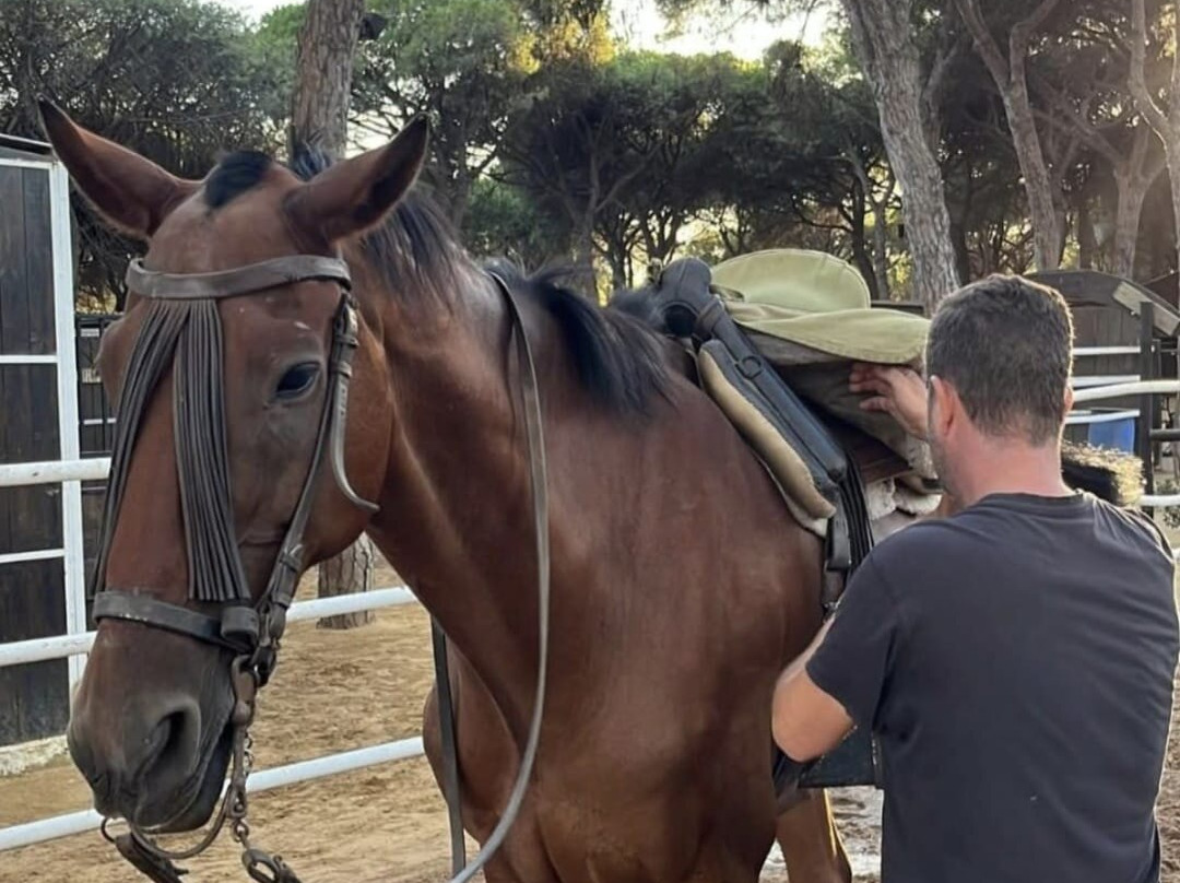 Arte Andaluz-马扎刚必去景点