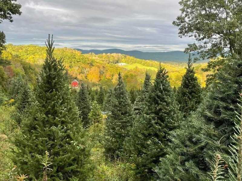 Shale Hills Farm-Sussex必去景点