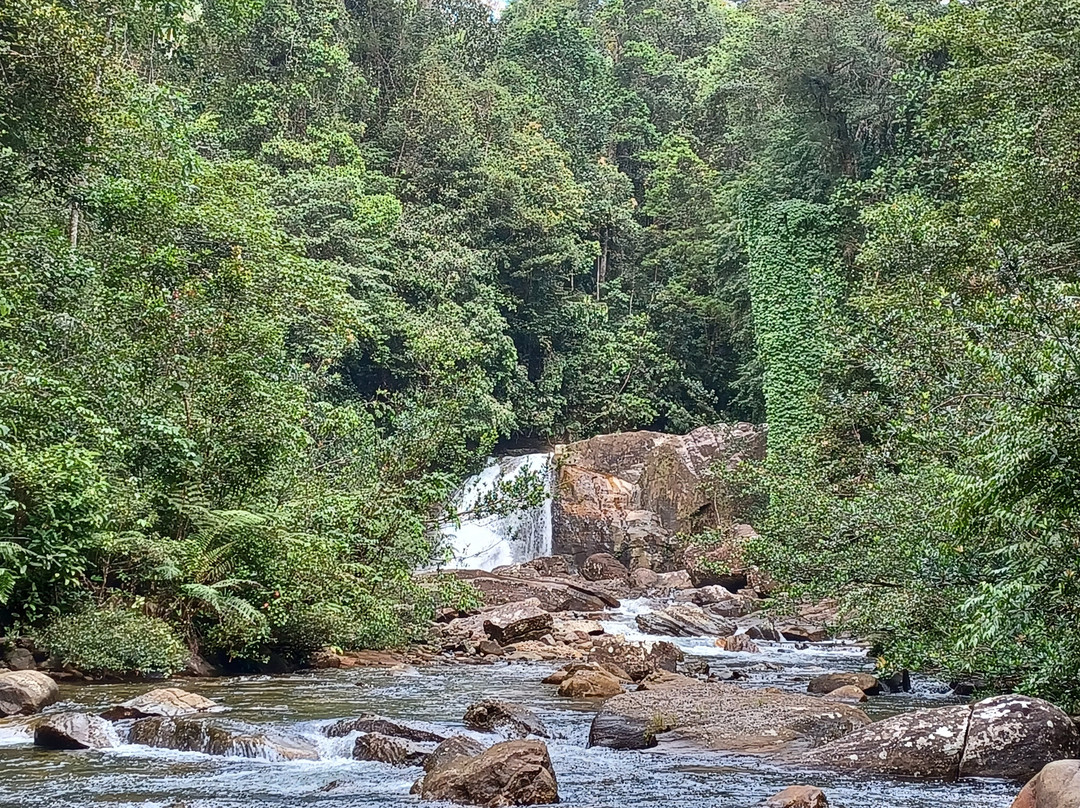 Sinharaja Forest Edge主图