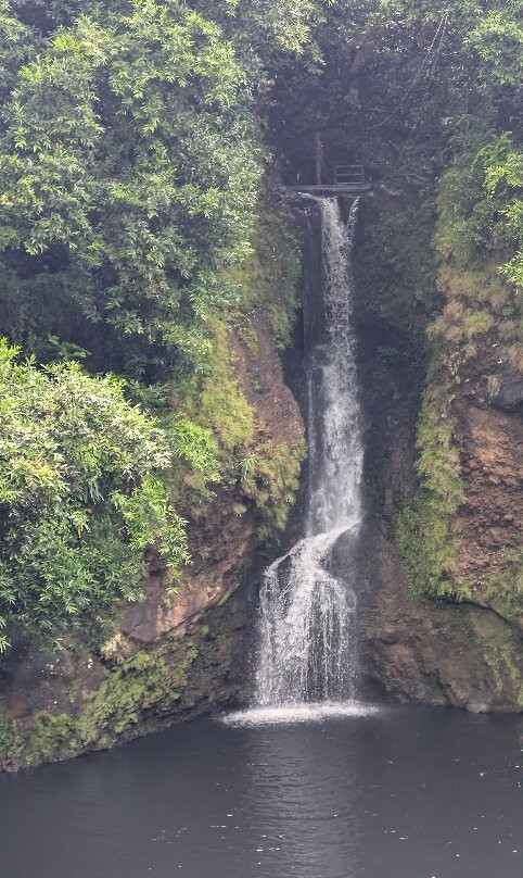 Vallé Advenature Park-Chamouny必去景点
