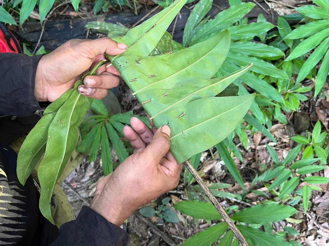 Banlung Nature Trekking Tours-邦隆必去景点