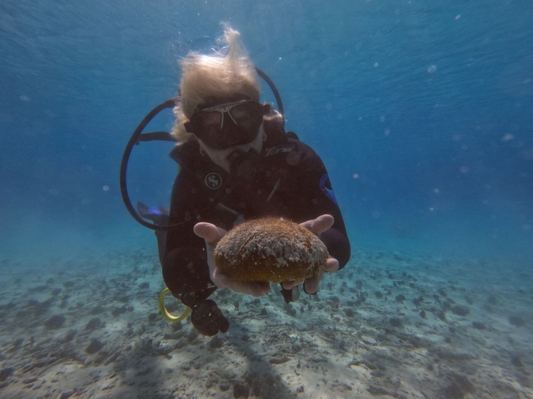 Varadero Diving Tour-Playa Larga必去景点