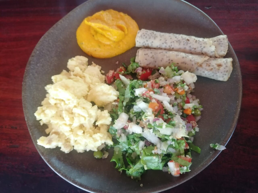 Psychonauta Foundation-伊基托斯必去景点