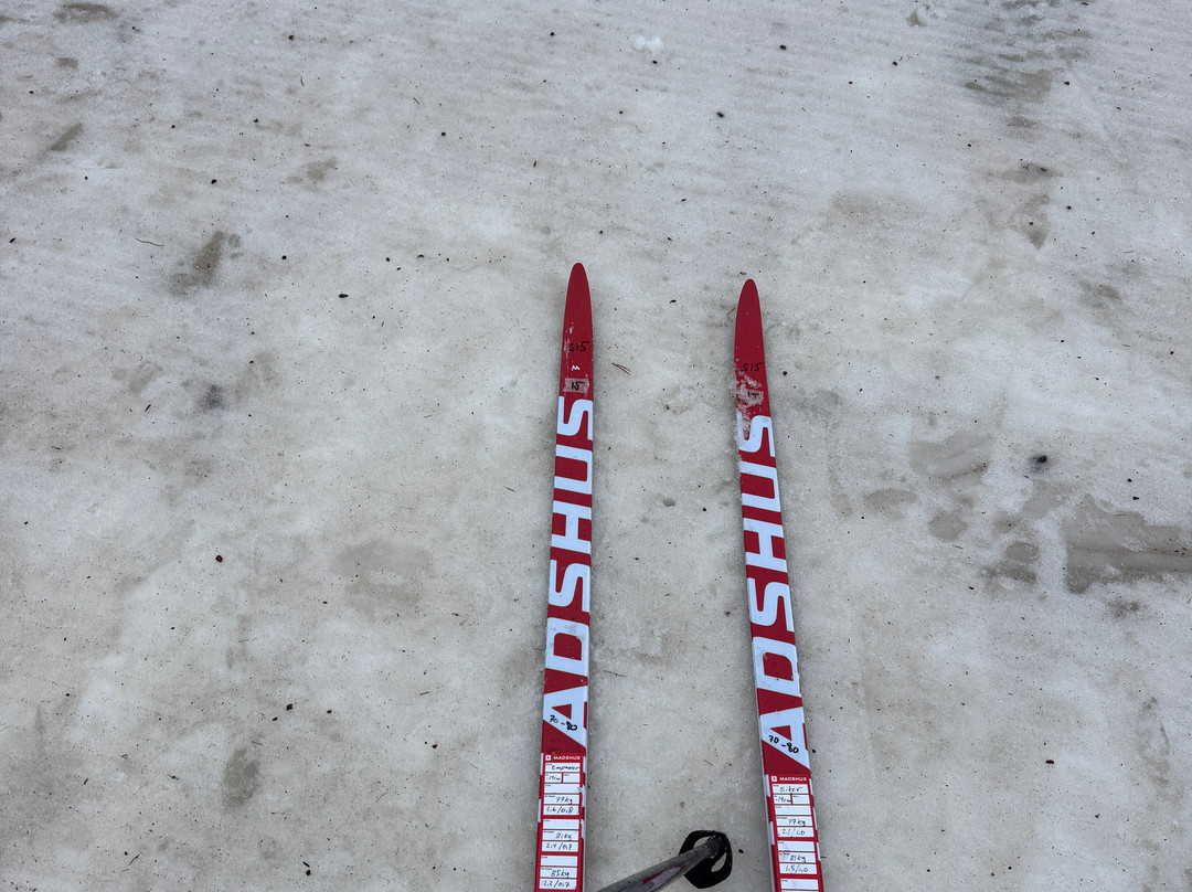 贝斯特韦斯特摩拉酒店与温泉中心主图