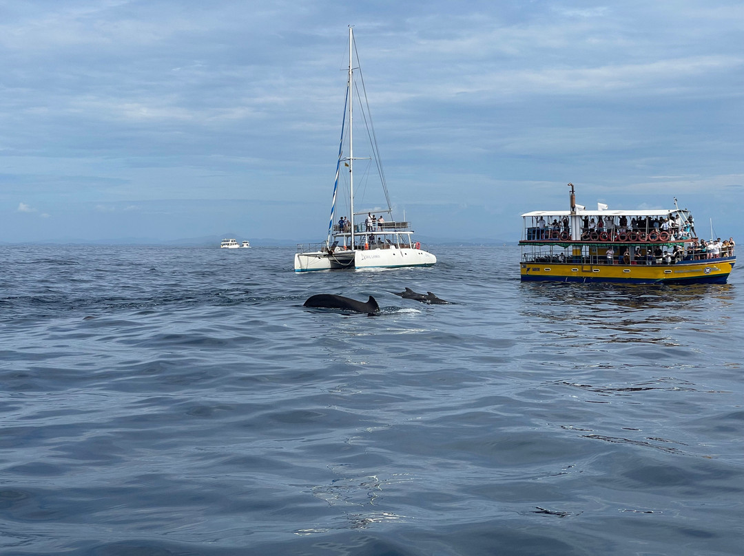 Nathalia Cruise-美蕊沙必去景点