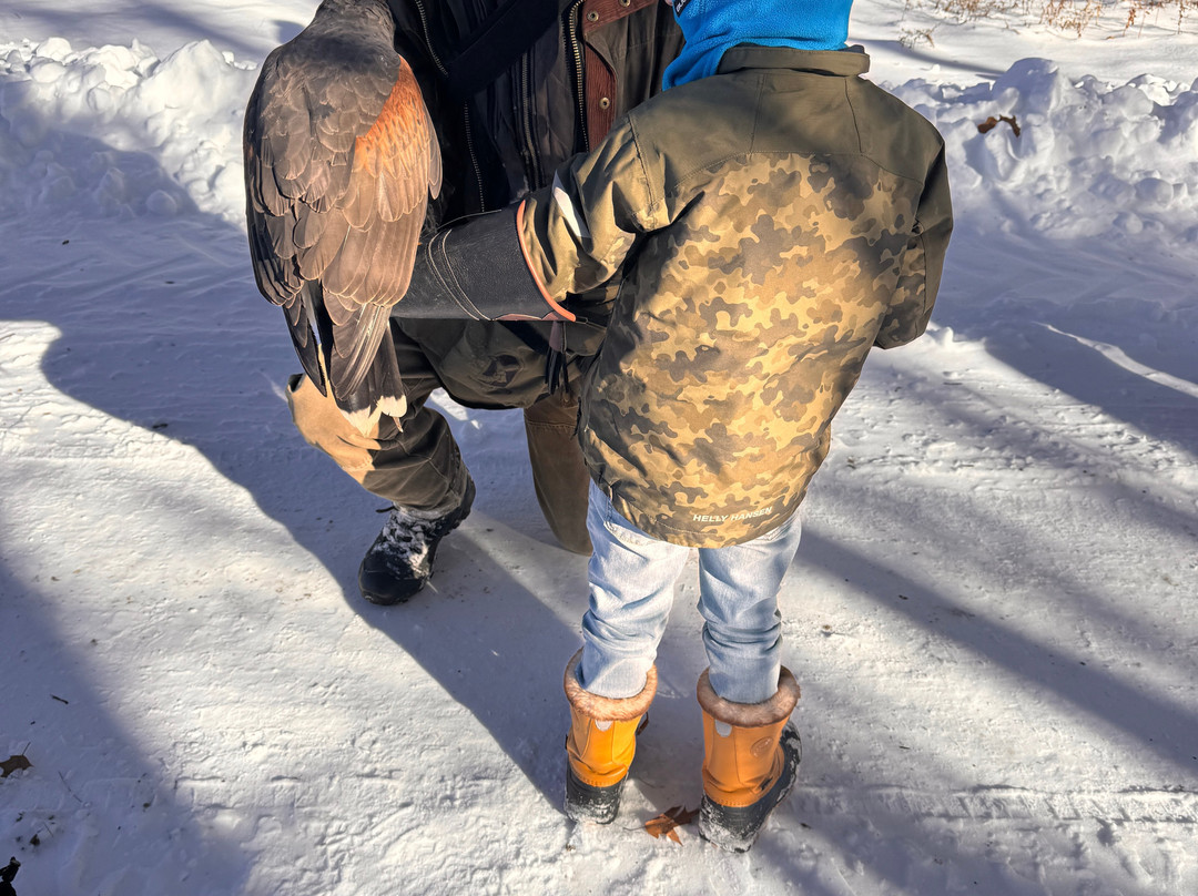 Monadnock Falconry-Temple必去景点