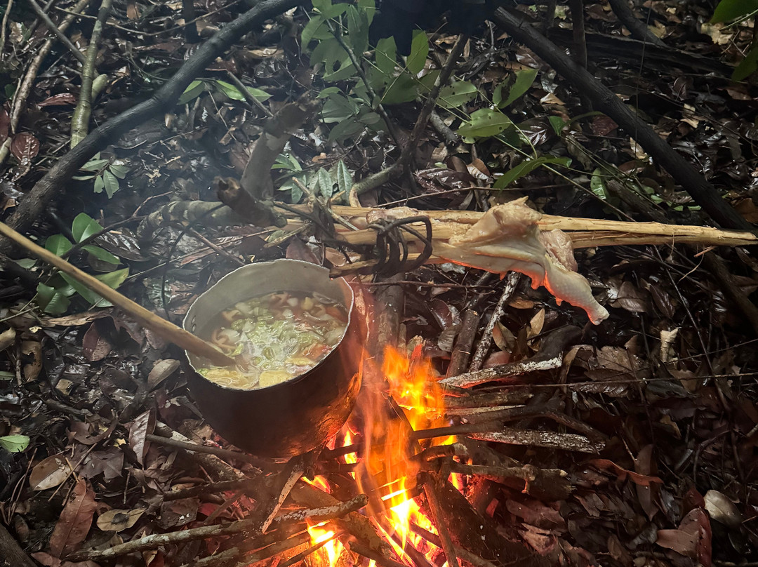 Amazon Rambo Jungle Tours-玛瑙斯必去景点