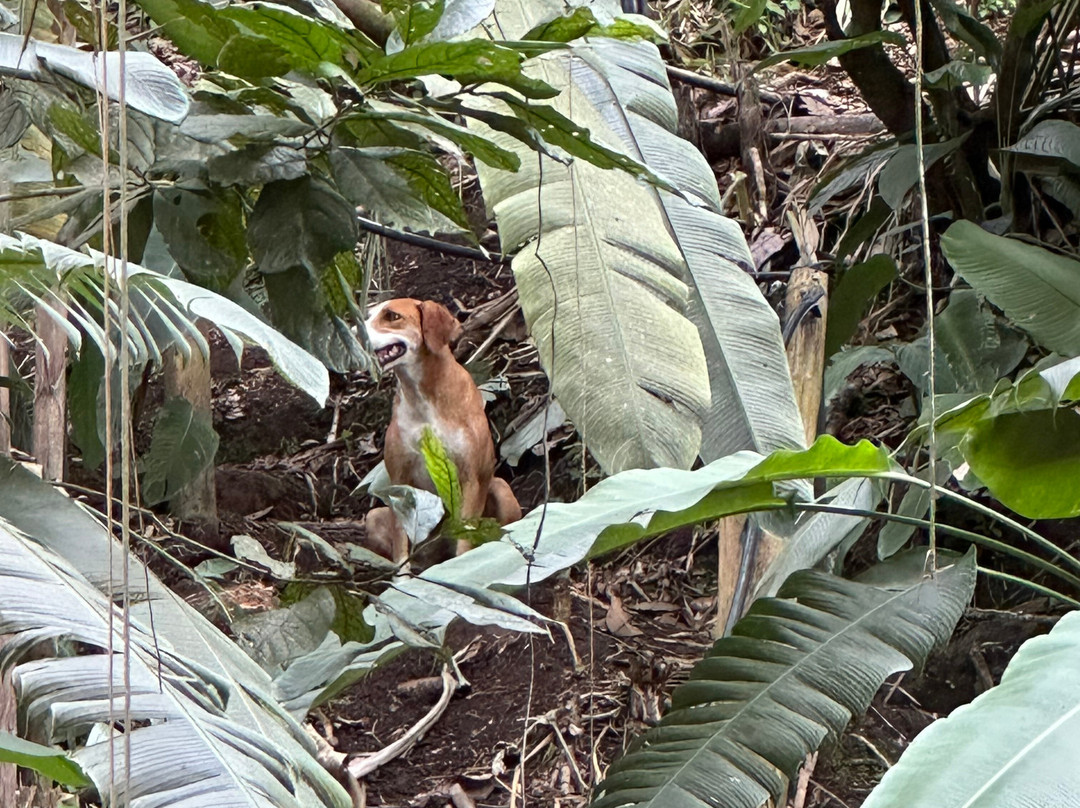 Hotel Spa La Colina主图