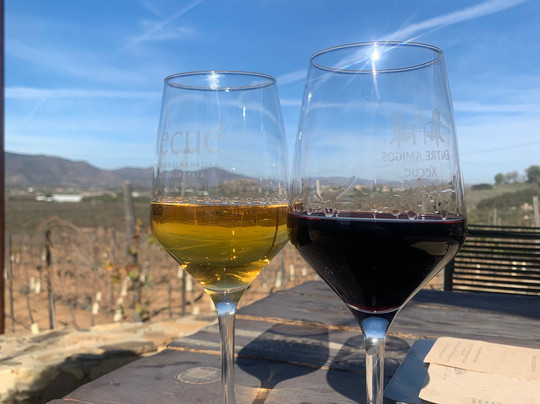 Xecue Vinicola-Valle de Guadalupe必去景点