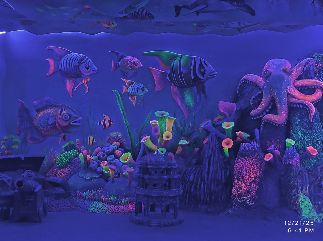 Aquarium Paradise