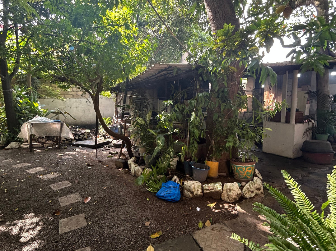 Jez Look Batiks-马塔拉必去景点