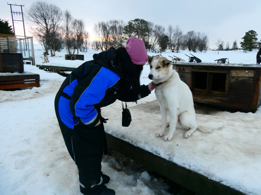 特罗姆瑟野外之旅-特罗姆瑟必去景点