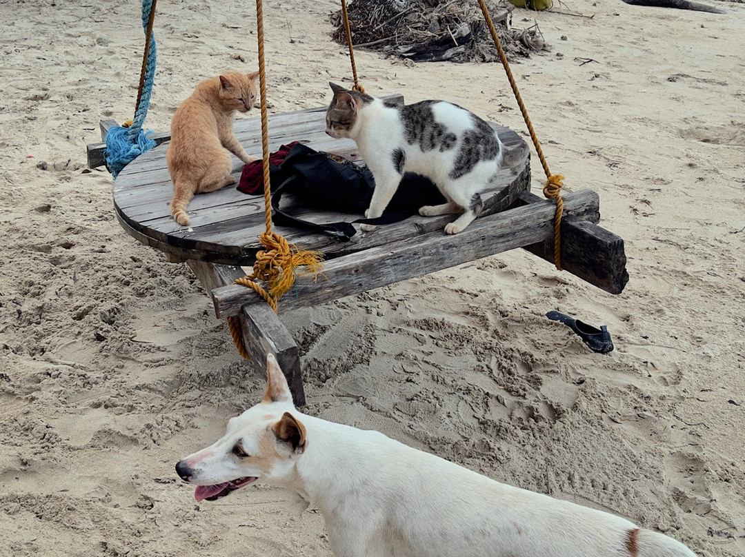 White Beach-巴顿港必去景点