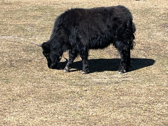 Ocean Vertical-爱丁堡必去景点