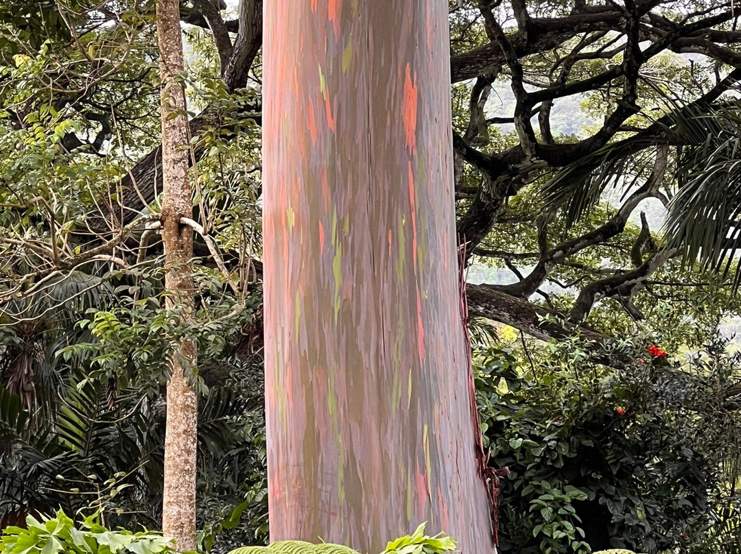 Waipio Valley Shuttle-库库伊哈尔必去景点