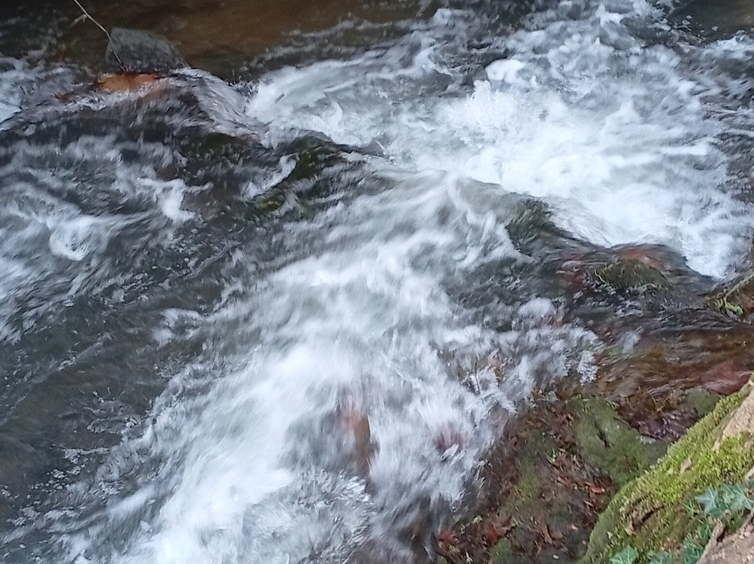 Jardins du Chateau de Canon-Mezidon-Canon必去景点