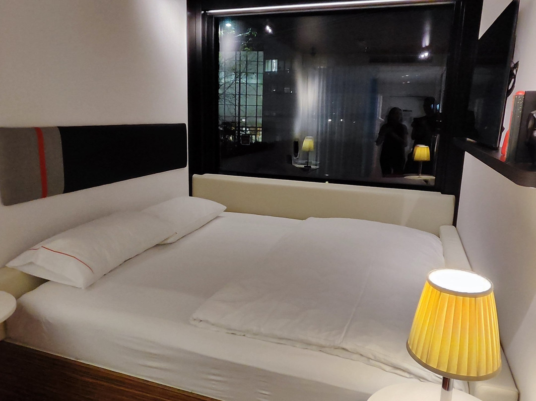 巴黎戴高樂機場世民飯店主图