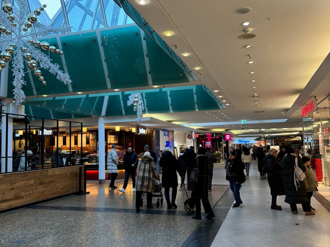 Schwanenmarkt-克雷菲尔德必去景点