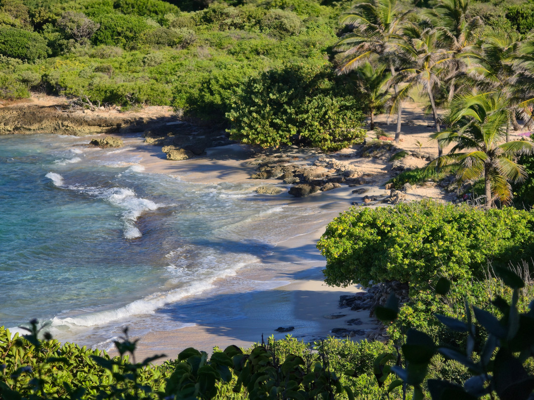 Anse Tarare-Saint Francois必去景点