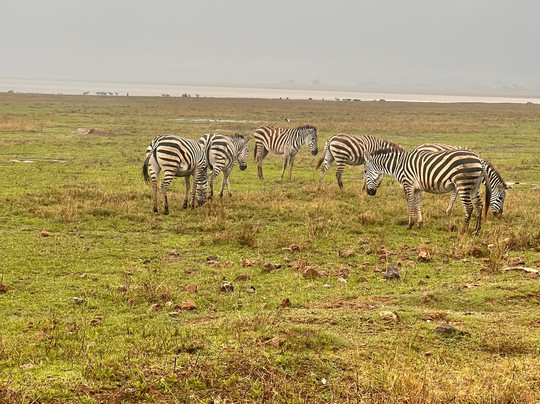 kindege Safaris-莫西必去景点