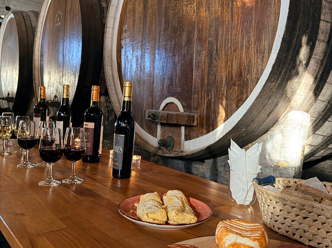 Adega Regional de Colares-科拉雷斯必去景点