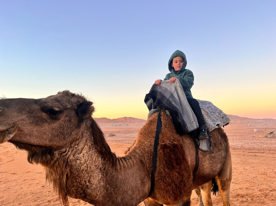 Soul Adventure Morocco Day Tours-卡萨布兰卡必去景点