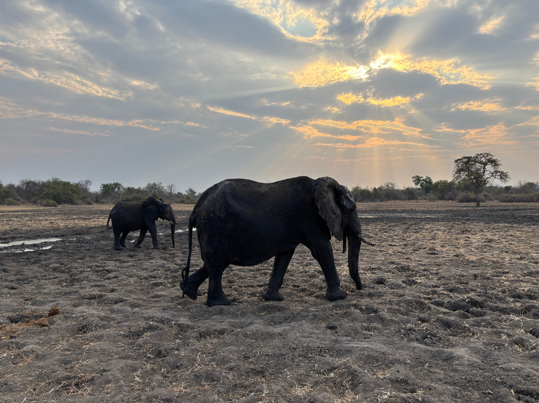 Pumba Tours and Safaris-Mfuwe必去景点