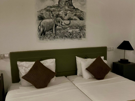 迦叶狮石酒店主图