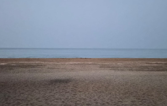 Denissons Beach Resort主图