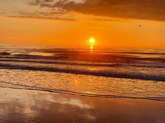 Hilton Royale Palms主图