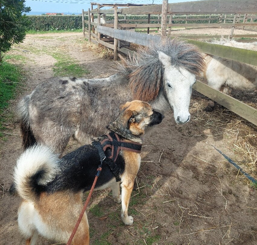 Monte Da Bemposta主图