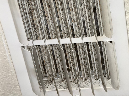 Holiday Inn Express & Suites Greenville by IHG主图