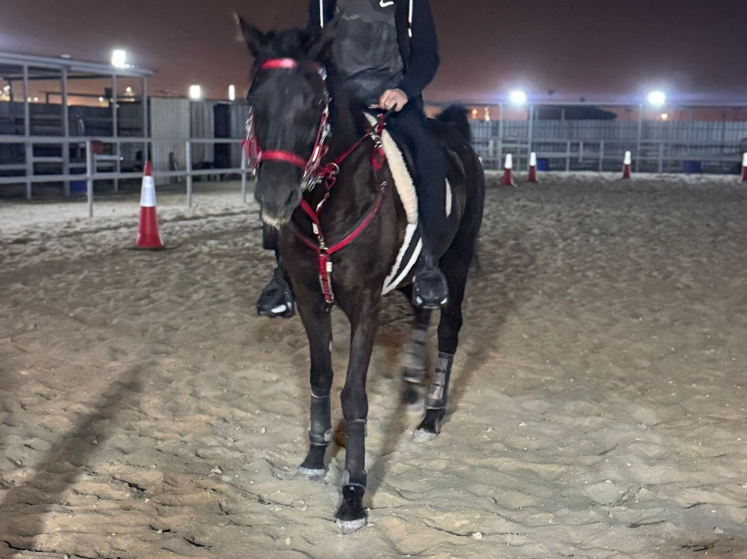 Almarbat-Mesaieed必去景点