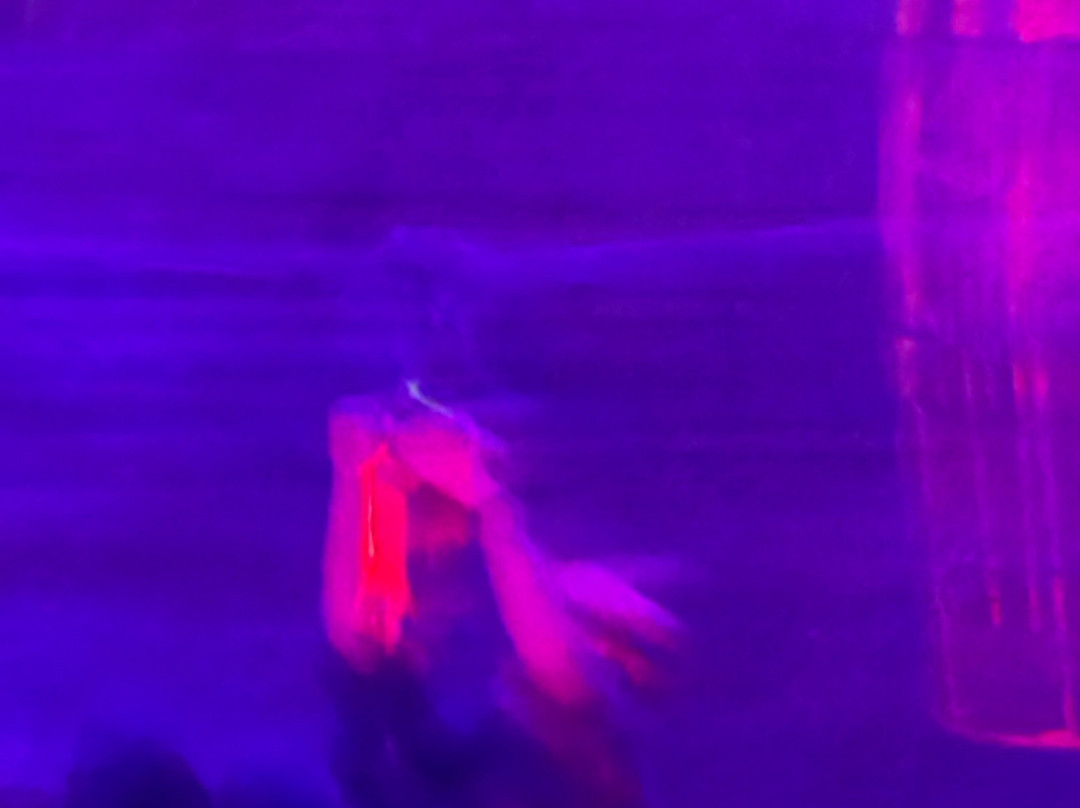 路易斯维尔巨洞-路易斯维尔必去景点