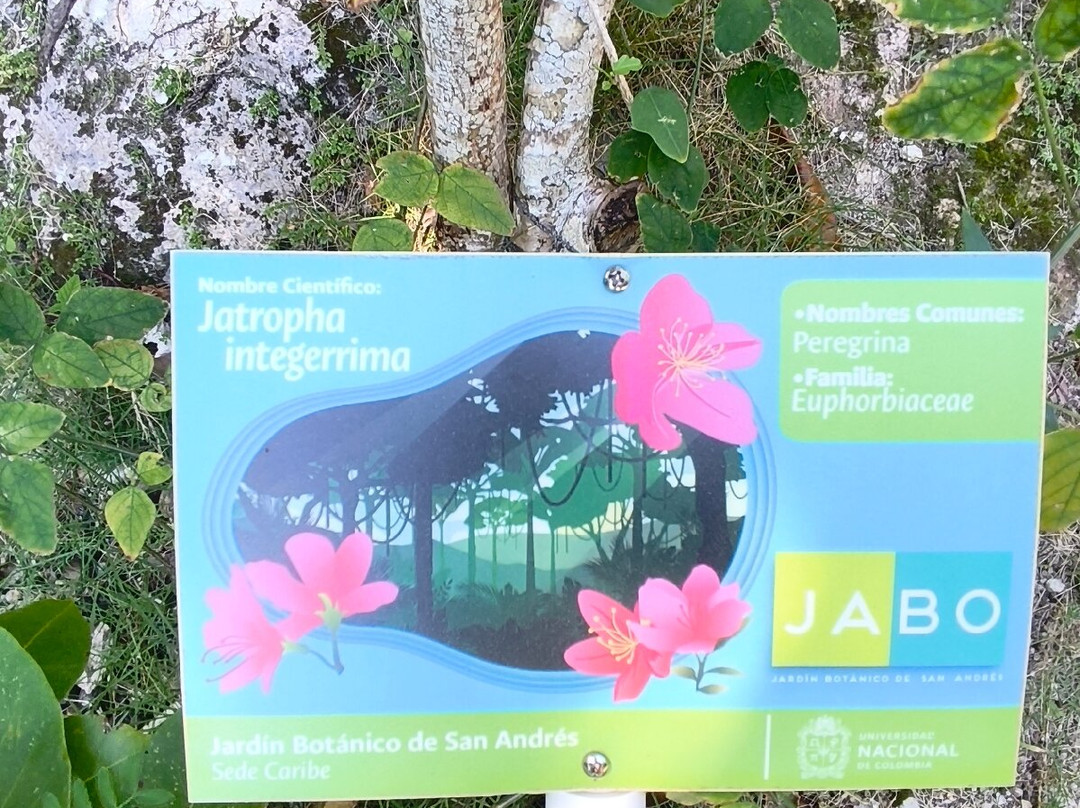 Jardín Botánico de San Andrés-圣安德烈斯必去景点