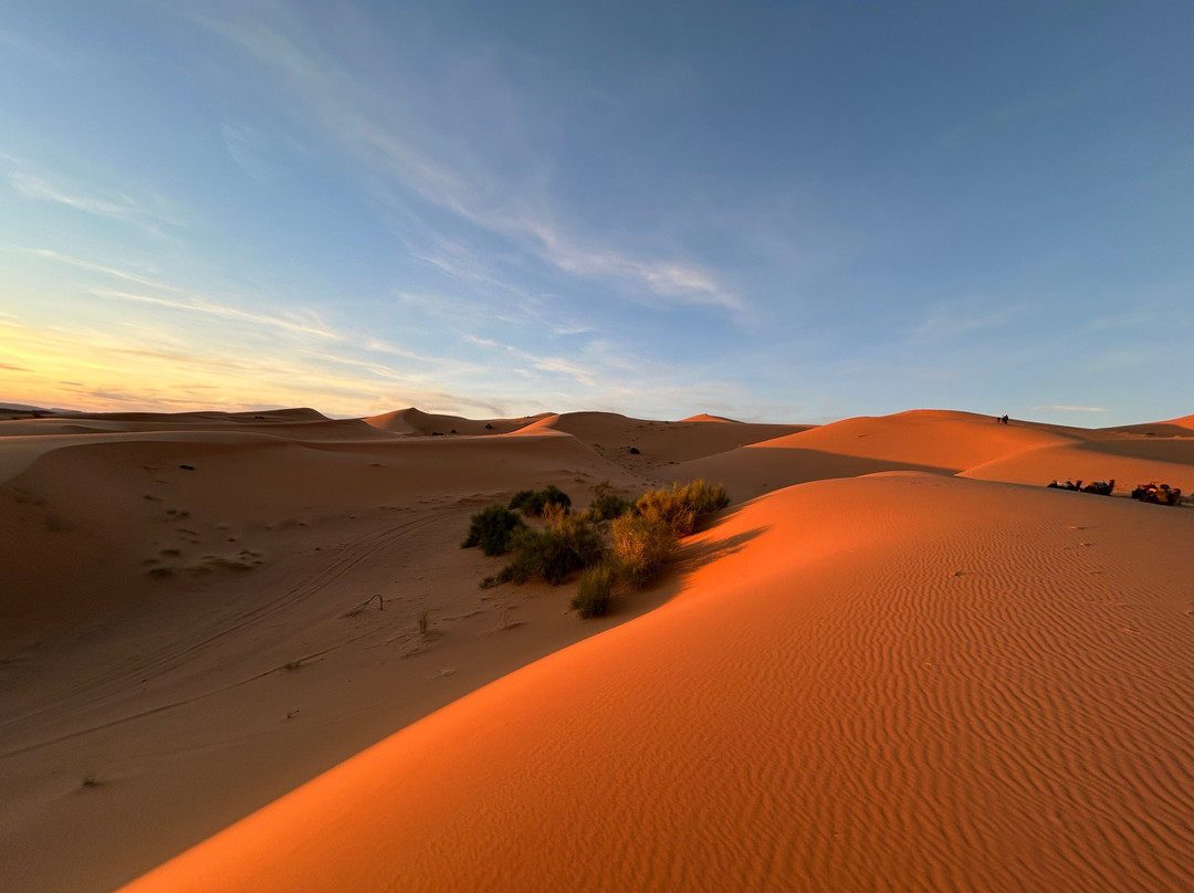 Marrakech Excursion-马拉喀什必去景点