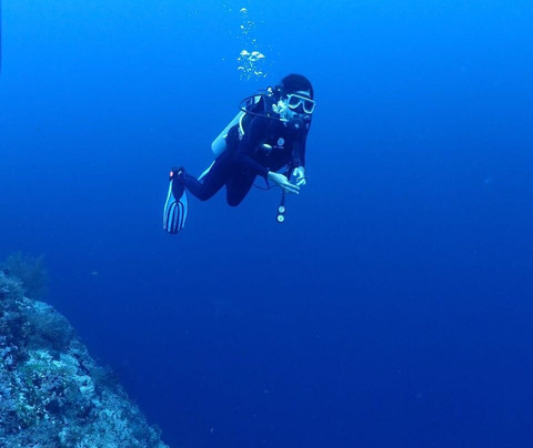 Pacific Divers-葡多咖蕾拉必去景点