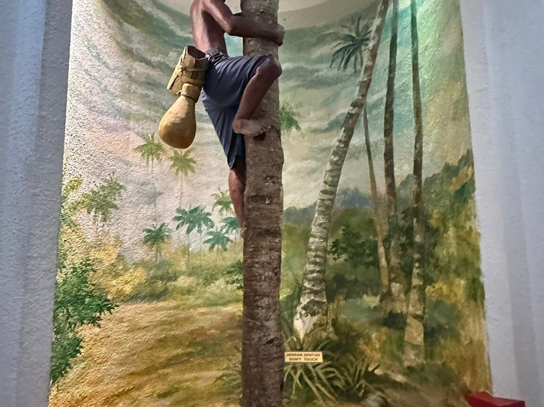 Museum of Royal Malaysian Customs Department​​​-马六甲必去景点