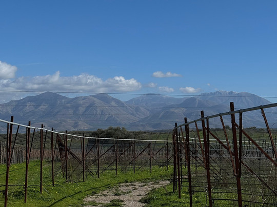 Lyrarakis Winery-伊拉克利翁必去景点