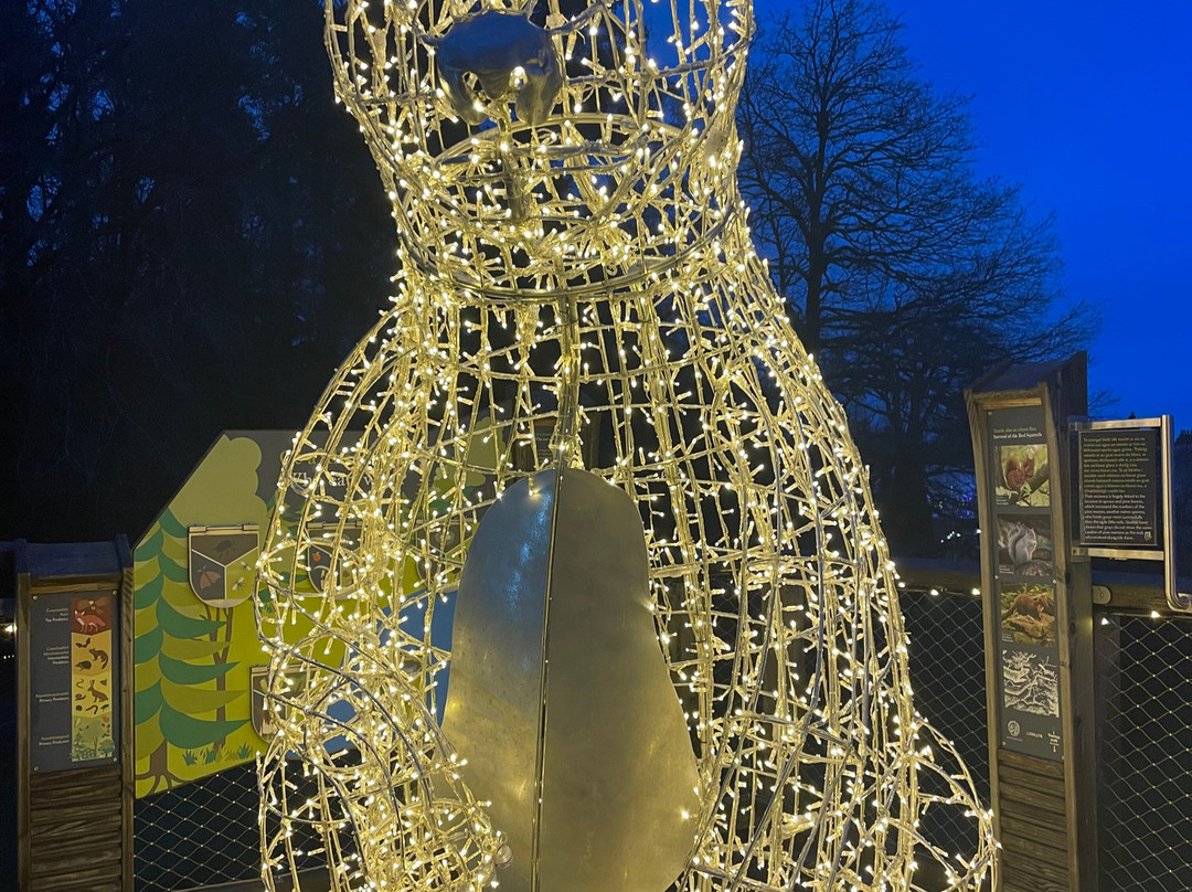 Treetop Walk Avondale-Rathdrum必去景点