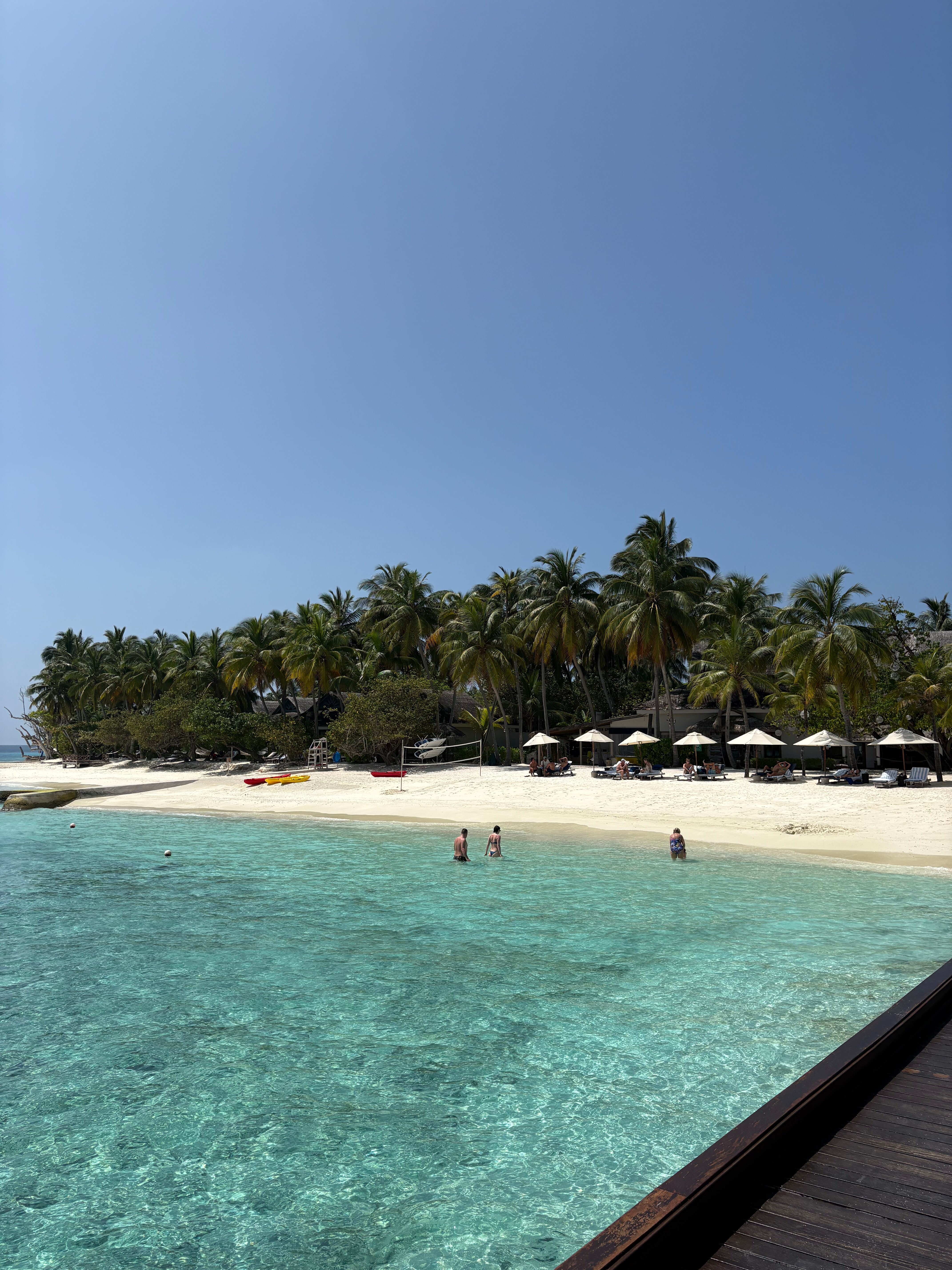 泰姬珊瑚礁度假村-官方