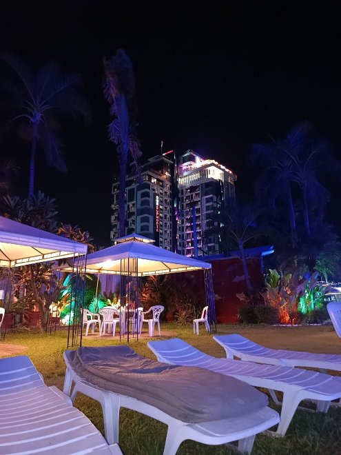 野生兰花度假村-官方