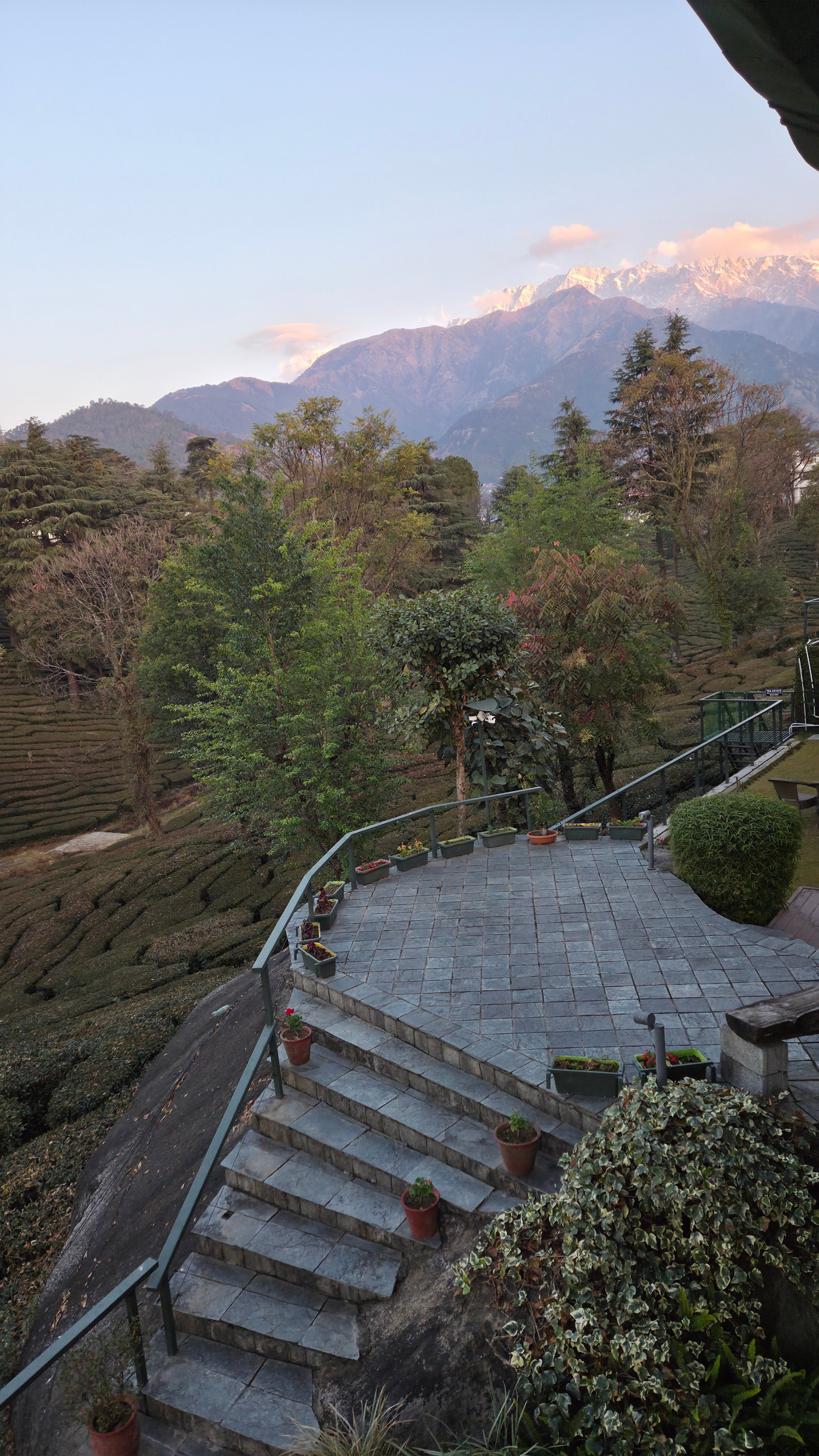 Lamrin Norwood Green Palampur-官方