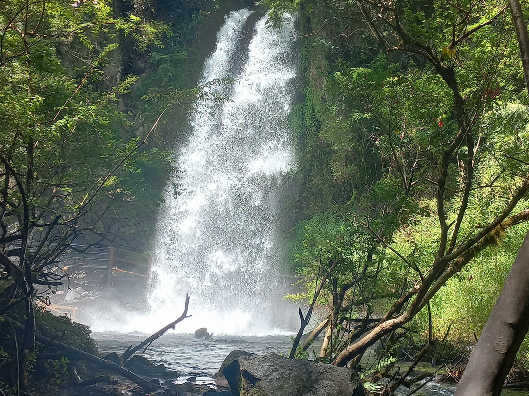 Huilo Huilo Reserva Biológica-Los Rios Region必去景点