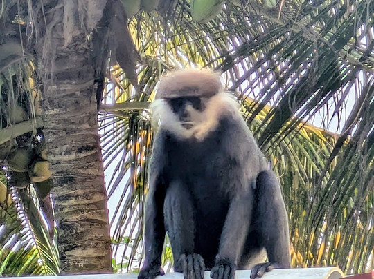 Arcade Beach Hotel主图