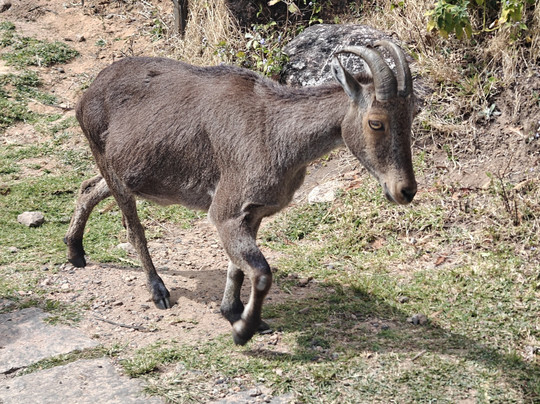 Green Hope Tourism-柯钦必去景点
