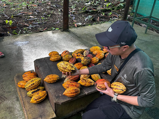 WAKING DREAMS COSTA RICA-圣何塞必去景点