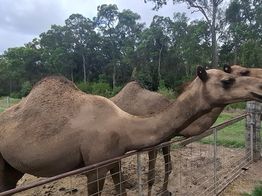 Splitters Farm-邦德堡必去景点